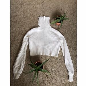Tiger Mist Turtle Neck Crop Sweater